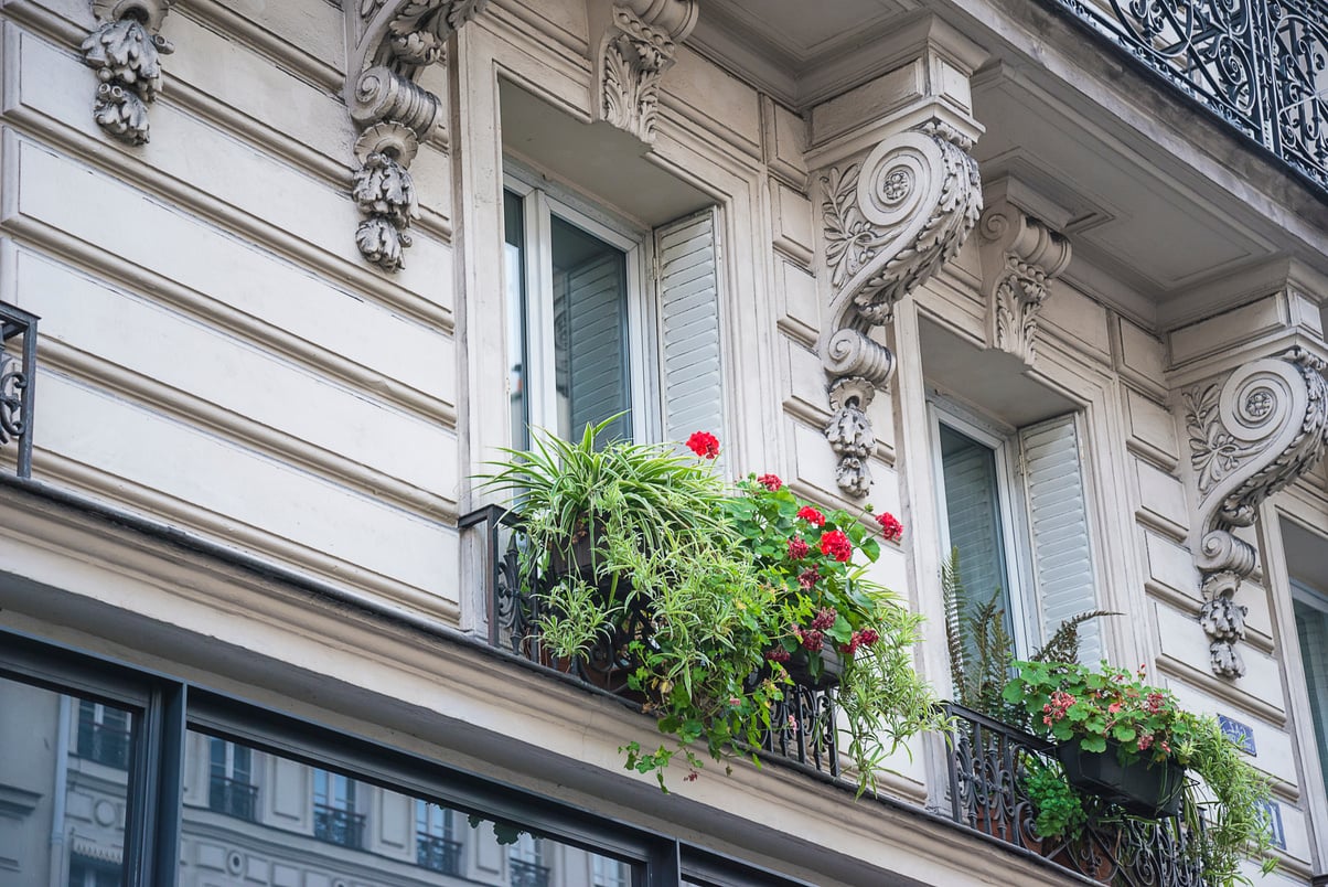 Beautiful haussmanian building